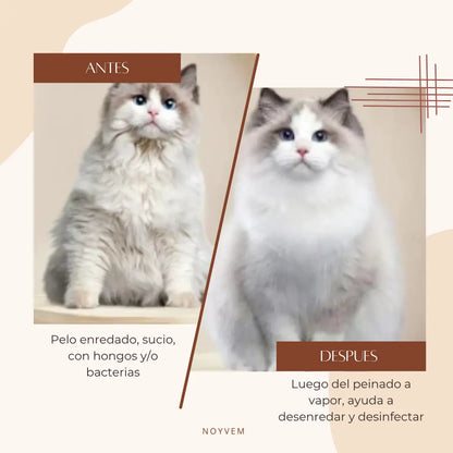 NOYVEM™ Cepillado sin Estrés